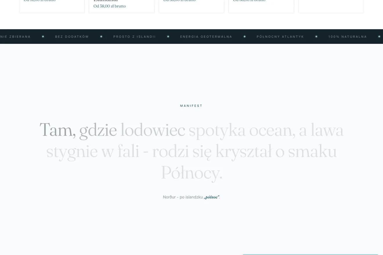 Nordur Salt - fragment wdrożonego serwisu